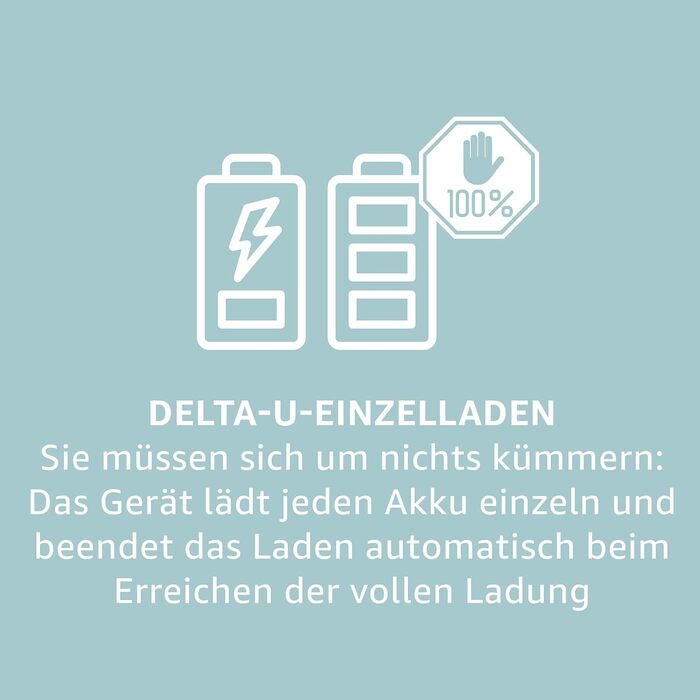 Зарядний пристрій Panasonic eneloop 52063 для акумуляторів Ni-MH AA/AAA (4 шт.)