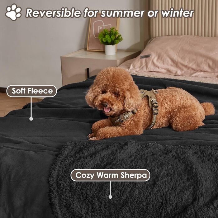 Водонепроникний плед для собак та котів, миючий, чорний (150 x 120 см)