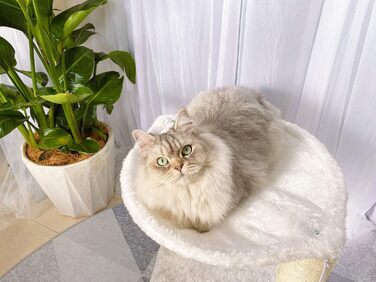 Дерев'яний когтеточка для котів Kratzbaum з будиночком, гамаком, ліжком та когтеточками, 41 x 48 x 41 см, білий, обмотаний сизалем, з іграшкою на шнурку