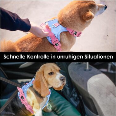 Шлейка для собак PHOEPET Anti-Zug з відбиваючими елементами, регульована, для цуценят та собак різних розмірів (M, небесно-блакитна основа & рожеві ремінці)