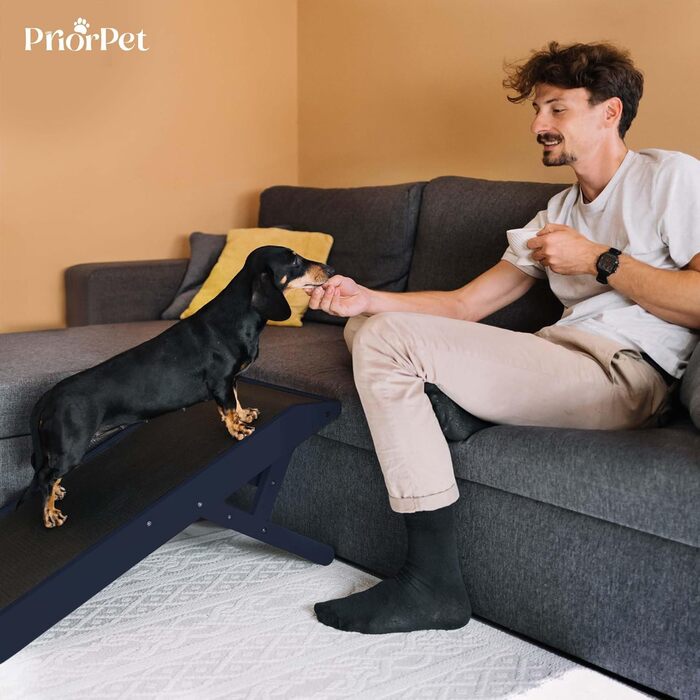 Рампа для собак Hunderampe - регульована, 18-53 см, для ліжка/дивану, з берези, антиковзаюча, чорна (темно-синя)