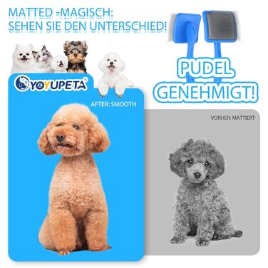 Набір для грумінгу собак великих порід Slicker Bürste: щітка, гребінець для підшерстя та гребінець з нержавіючої сталі. Підходить для собак та котів з підшерстям (голден ретрівер, австралійська вівчарка). Колір: блакитний