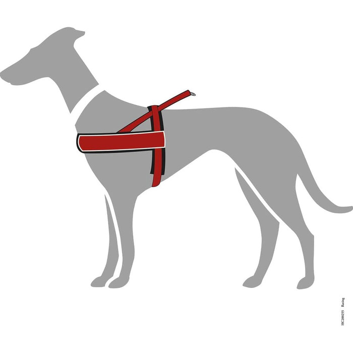 Шлейка для собак HUNTER RACING, чорна, м'яка, світловідбиваюча, регульована, розмір M-L