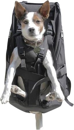 Преміум рюкзак для собак, переноска для собак 11-18 кг, система підтримки 4-х ременів