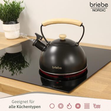 Чайник електричний Nordic Wasserkessel Induktion 2.3L, з свистком, з нержавіючої сталі, ретро дизайн, для всіх типів плит (склокераміка, газ, електро), з дерев'яною ручкою Cool-Touch, для чаю та кави, чорний