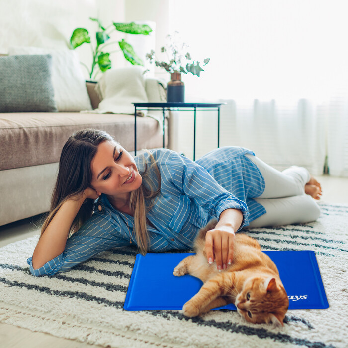 Relaxdays Cooling Mat for Dogs, blue