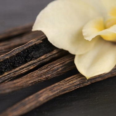 Парфумована вода Yodeyma Amira, 100 мл