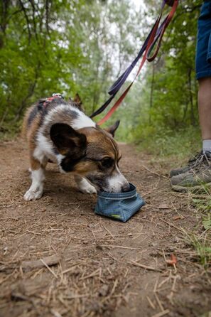 RUFFWEAR Great Basin: Складаний дорожній миска для собак, 1 л, Slate Blue (Small)