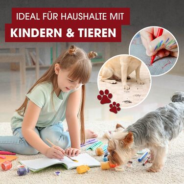 CLEANmaxx Пилосос для м'яких меблів та килимів: видалення плям, компактний, потужний | 400W, 9kPa, чорний