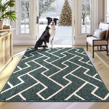 Вологостійкий килимок для дому Black 50x80 см, килимок для порогу, антиковзаючий, для входу, коридору, саду, дому, для тварин (80x100 см, Emerald)