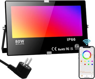 RGB LED Spotlight Outdoor 80W Bluetooth APP Control Flood Light Outdoor, 2700K & Million Colors Dimmable Smart Floodlight Spotlight IP66 Waterproof Outdoor Spotlight Floodlight Garden Mood Lighting 2 (Bluetooth-80w X 1 pack)