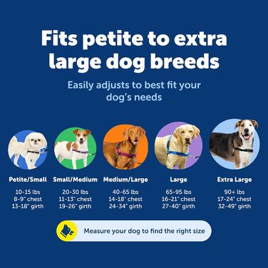 Шлейка PetSafe Easy Walk для собак, чорна, запобігає потягування, навчає гарним манерам на повідку