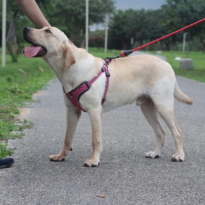 Нашийник для собак середніх та маленьких порід, цуценят, анти-тяга, безпечний, світловідбиваючий, м'який, регульований (S, Рожевий)