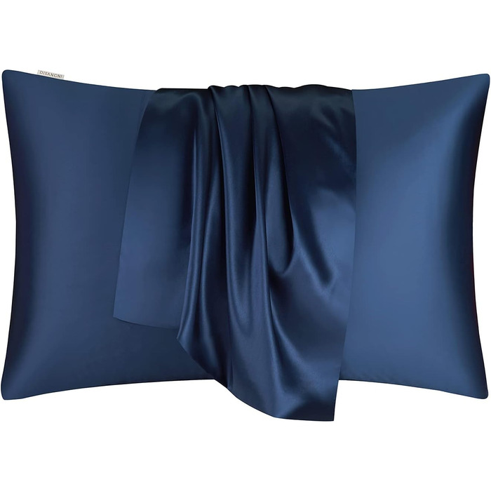 DISANGNI 100% Natural Mulberry Silk Pillowcase for Hair and Skin, Hidden Zipper Closure, 22 Momme, Both Sides, Real Silk, 1 Piece (Blue, 2 Pack, Standard Size 50.8 x 66 cm)