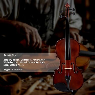 Скрипка Cantabile VP-100 4/4 (Початковий рівень, для учнів), повний комплект: скрипка, футляр, струна, каніфоль