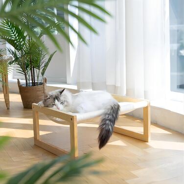 Cat bed and dog bed, elevated, large, and breathable, made of high-quality birch plywood, 53W x 42L x 25H cm - Ideal for cats and small dogs (white)
