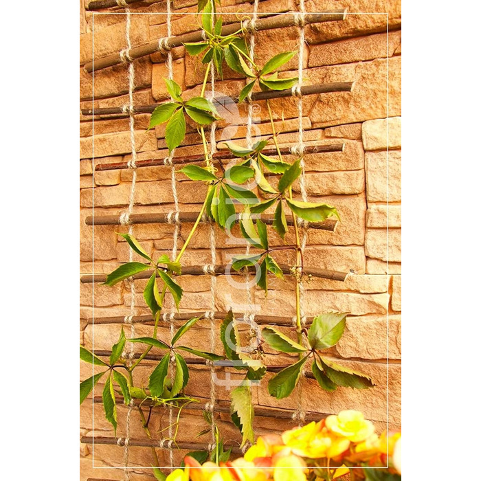 Floranica Climbing Plant Support Rank Grid - Length 150cm, Width 50cm. Made of natural willow, with ecological twine and a jute bag. Ideal support for roses, climbing plants, vegetables, and vines.