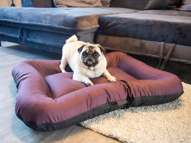 Ліжко для собак середніх розмірів 4L Textil KLEO, водонепроникне, знімний чохол, 90x70 см (темно-зелене)