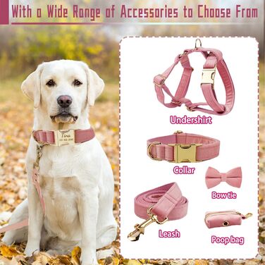 Персоналізоване собаче нашийник з металевою застібкою: напис та номер телефону. Регульовані розміри для собак середніх та великих порід.