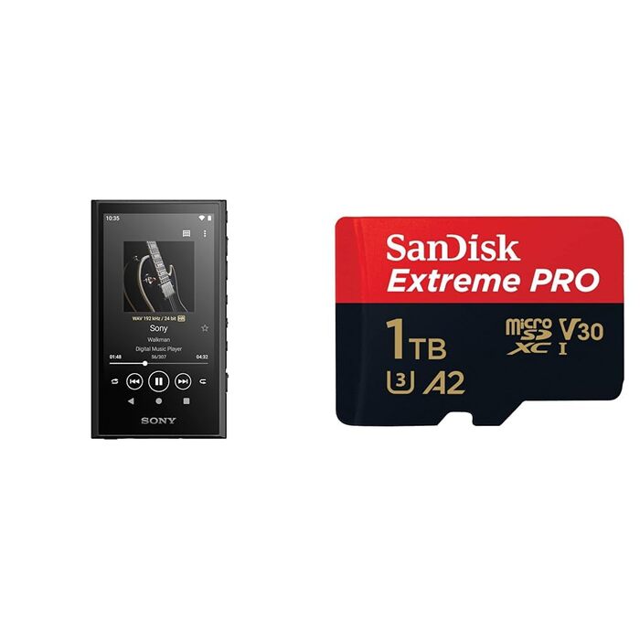 Sony Walkman NW-A306 32GB MP3 плеєр з Wi-Fi, чорний + карта пам'яті 1TB. До 36 годин роботи, покращена якість звуку