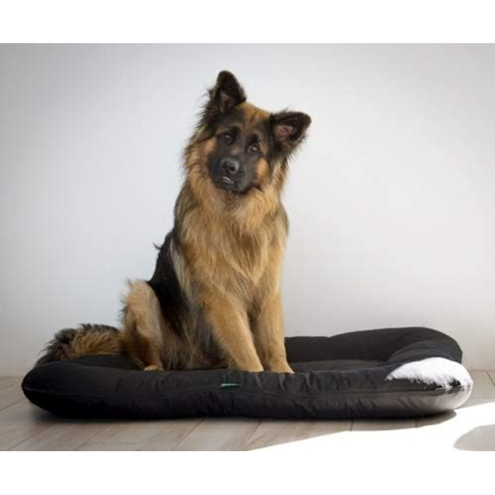 Ліжко для собак середніх розмірів 4L Textil KLEO, водонепроникне, знімний чохол, 90x70 см (темно-зелене)