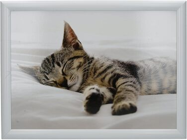 Creative Tops Kitten Lap Tray with Cushion, Beanbag Padded, 44 x 34cm, Multi-Coloured