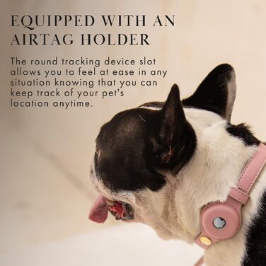 Cupertino Dog Collars, Harnesses & Leashes made of vegan leather with dog tracker device holder, adjustable dog collar (Small (Neck: 12x15), Pink)