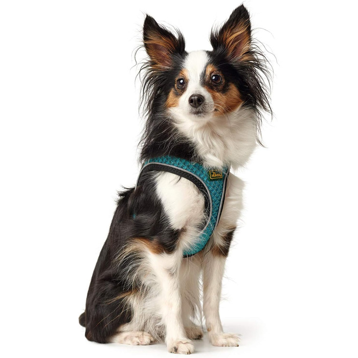 Нашийник для собак HUNTER HILO COMFORT, турквіс, S-M. Легкий, з сітчастого матеріалу, з відбиваючими елементами, зручний, для маленьких та середніх собак.