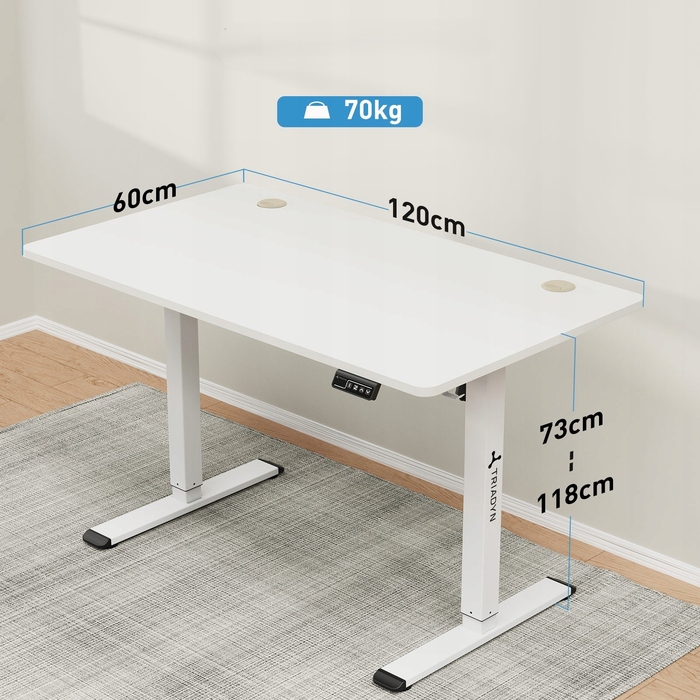 Електричний ігровий стіл з регулюванням висоти Triadyn WorkBase 1206, 120x60 см