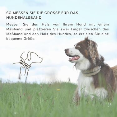 Інноваційний нашийник для собак Chris з ланолінової вовни, зменшує випадіння шерсті, з підкладкою, світловідбиваючий, регульований, для собак малого, середнього та великого розміру. Розміри: M (35-45 см), L (45-55 см), XL (55-65 см). Колір: кремовий