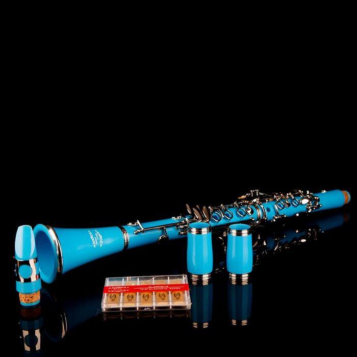 Кларнет Glory GLY-CLAGN професійний ебонітовий Bb з аксесуарами (10 вставок, стійка, кейс, щітки) - зелений (світло-блакитний/сріблястий)