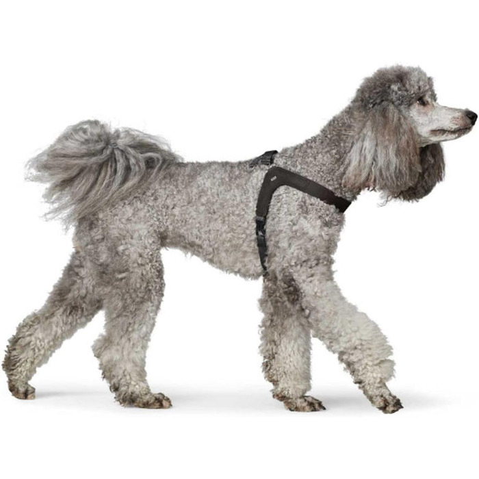 Нашийник для собак HUNTER DIMARO, чорний, з м'якої та міцної шкіри, регульований, для цуценят та собак, що бояться намордників, розмір L