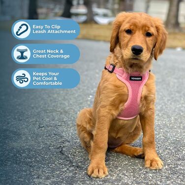 Шлейка для собак Voyager регульована з світловідбиваючими смугами Best Pet Supplies - міцна повна жилетка без натягу з кільцем для повідка, дихаюча, рожева, розмір XS (Обхват грудей: 13-16 дюймів)