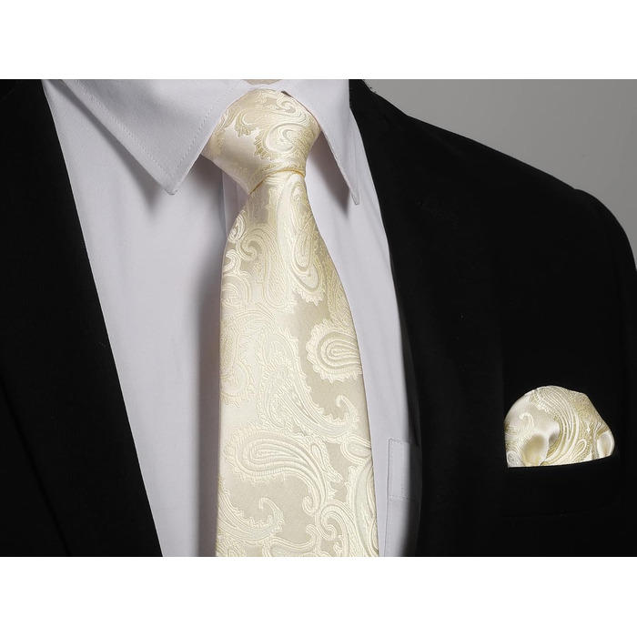 Краватка та нагрудна хустинка Enlision для весілля: шовковий комплект Paisley з латунними застібками для манжетів, бежевий/шампань