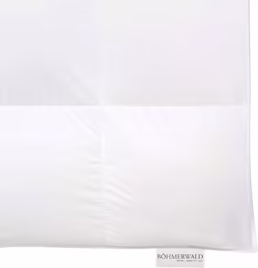 Bohemian Forest Selection Down Comforter, suitable for allergy sufferers, 100% down, fill weight: 1,780g, warmth class: extra warm, size: 200x200 cm, Oeko-Tex Standard 100 200 x 200 cm extra warm warmth class