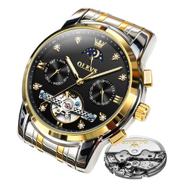 Чоловічий годинник OLEVS Chronograph: водонепроникний, кварцовий, зі сталевим корпусом та підсвіткою циферблата (6678, чорний/золотий/сріблястий)