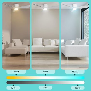 Стеляний вентилятор Noaton® Fornax Weiß з підсвічуванням, діаметр 132 см, DC мотор 40 Вт, диммований LED модуль 22 Вт, 3 колірні температури, пульт дистанційного керування, таймер, повітряний потік до 185 м³/хв.