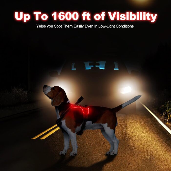 Нашийник для собак Masbri з підсвічуванням, регульований, світловідбиваючий з ручкою, м'який, світловідбиваючий для собак середніх та великих порід, чорно-білий, TC3005B, чорно-білий (M, червоний)