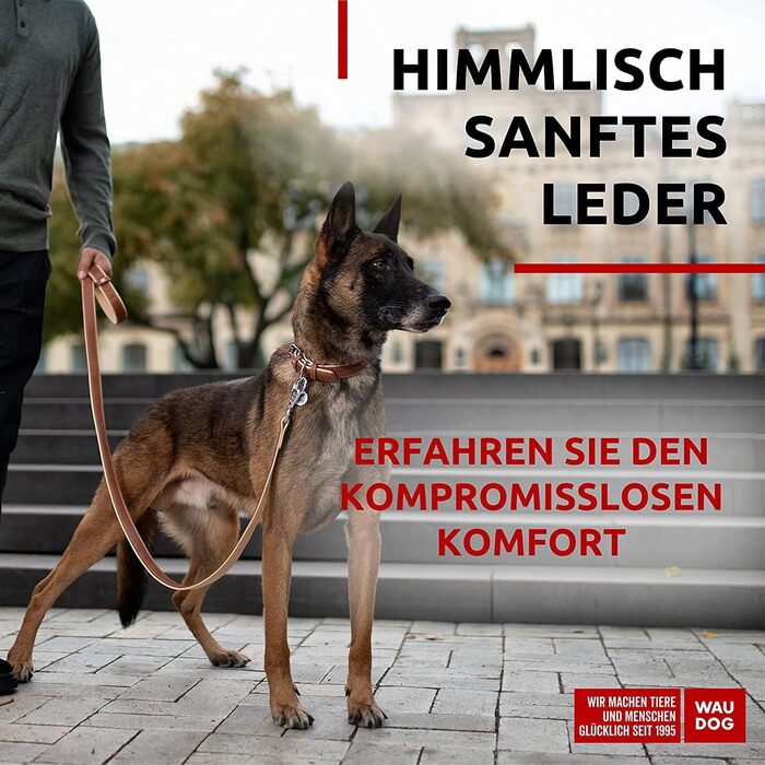 Сумка для собак WAUDOG з натуральної шкіри, великі та середні породи, повсякденне використання, регульована довжина 27-36 см, ширина 15 мм, коричнева