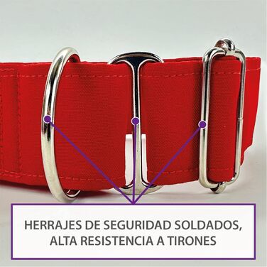 Нашийник для собак Galguita Amelie з принтом черепа, 4 см, розмір M (30-39 см), для собак Мартінгейл