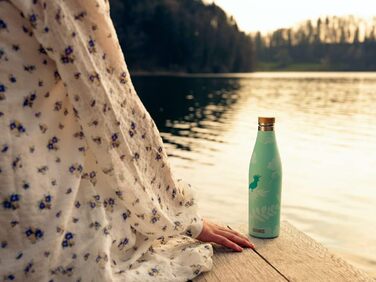 SIGG - Insulated Drinking Bottle - Meridian - Leak-proof - Extra slim - BPA-free - Plastic-free - Double-walled 18/8 Stainless Steel - Bamboo Screw Cap - 0.5L / 0.7L (Sumatra Birds, Sumatra 0.5 L)