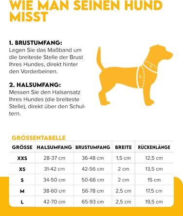 Шлейка для собак Woolly Wolf Nightless Night S - для маленьких собак, з переробленого поліестеру, з відбиваючими елементами