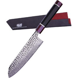 FINDKING Santoku ніж: професійний кухонний ніж з японської сталі 9Cr18MoV, ABS рукоятка, 21 см (8 дюймів)