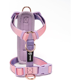 колір: градієнт лілового-рожевого