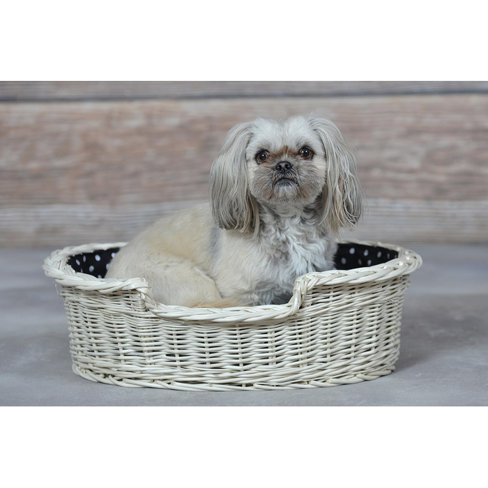 Wicker Dog Basket for Dog and Cat - Dog Bed, Cat Bed with Cushion, Pet Basket, Woven Cat Basket 60x43 H19 cm (80 x 60 x 26 cm, Beige)