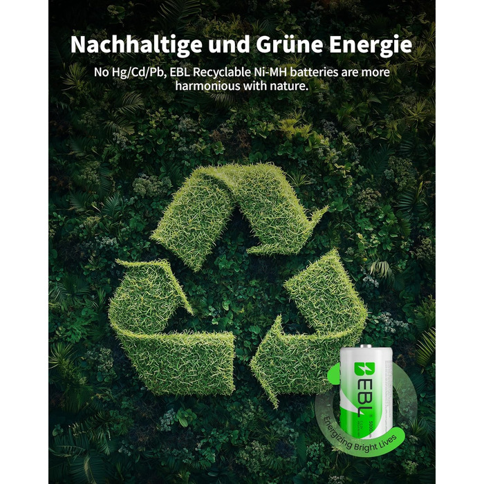 Зарядний пристрій EBL для акумуляторів AA AAA C D NI-MH, Type-C, LCD дисплей, швидка зарядка (зарядний пристрій + 4 x C)