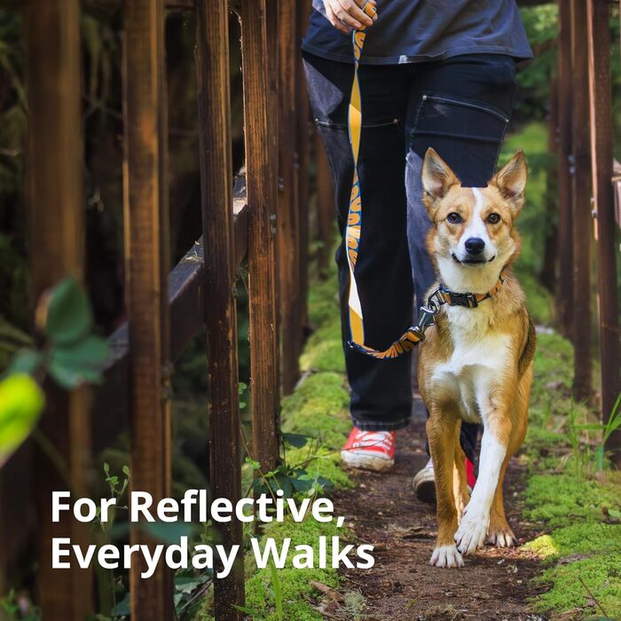 Нашийник для собак RUFFWEAR Crag, середній, 36-51 см, з алюмінієвим кільцем V, регульований, м'який, преміум-якість, для собак з можливістю підключення повідка