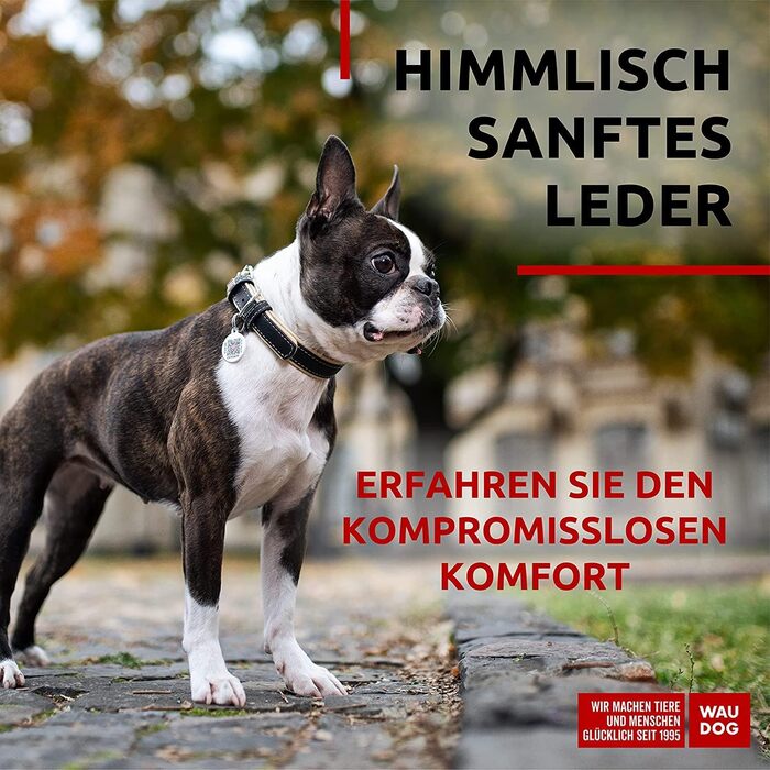 Нашийник для собак WAUDOG: шкіряний нашийник для великих, середніх та маленьких собак, кошенят. Ширина 15-20 мм, довжина 27-36/30-39 см. З цифровою міткою.