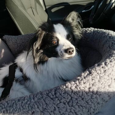 GEAR Frontera: безпечний авто-кошик для собак з регульованими повідцями та ортопедичною тканиною Тедді для передніх та задніх сидінь