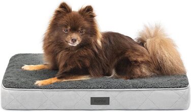 Ортопедичне ліжко для собак Lionto, 60x40x8 см, з м'яким плюшем, знімний та пральний чохол, водовідштовхувальне, для собак та котів, сірого кольору